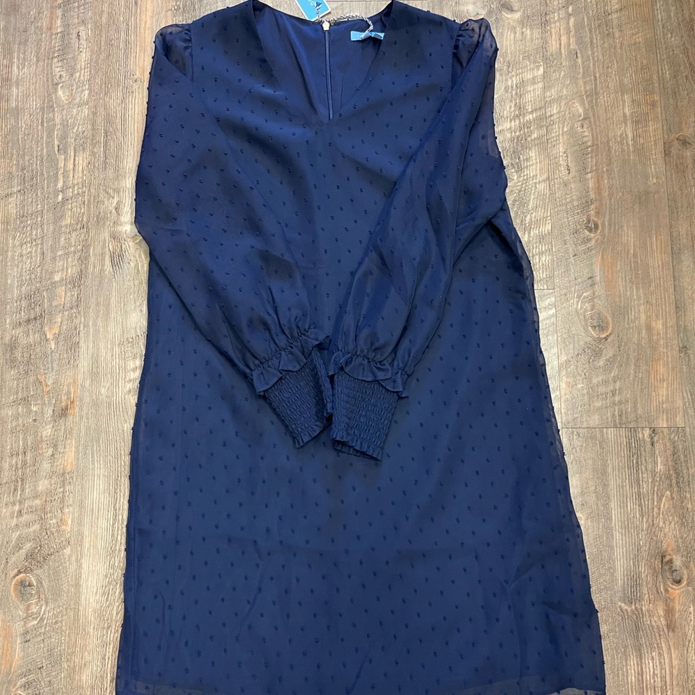Long Sleeve Smocked Cuff Shift Dress